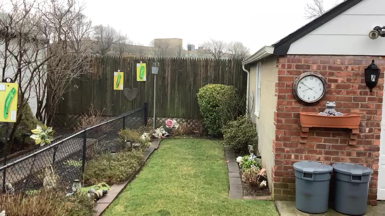 Snow in queens