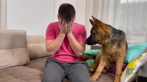 German Shepherd Puppy Reaction to Me Crying