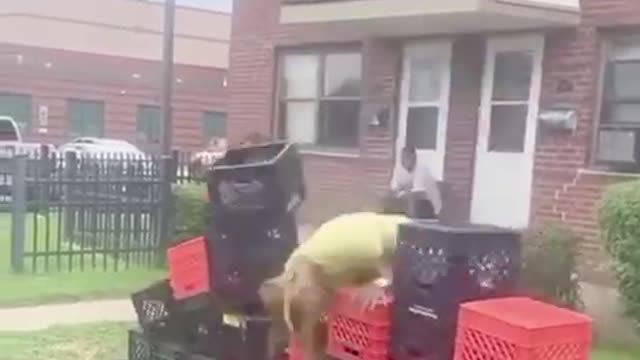 Milk crate challenge is getting out of hand🤣