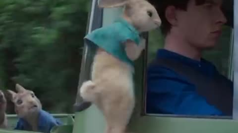 Bunny movie clip