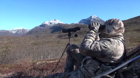 Alaska Brown Hunt Bear Part 1