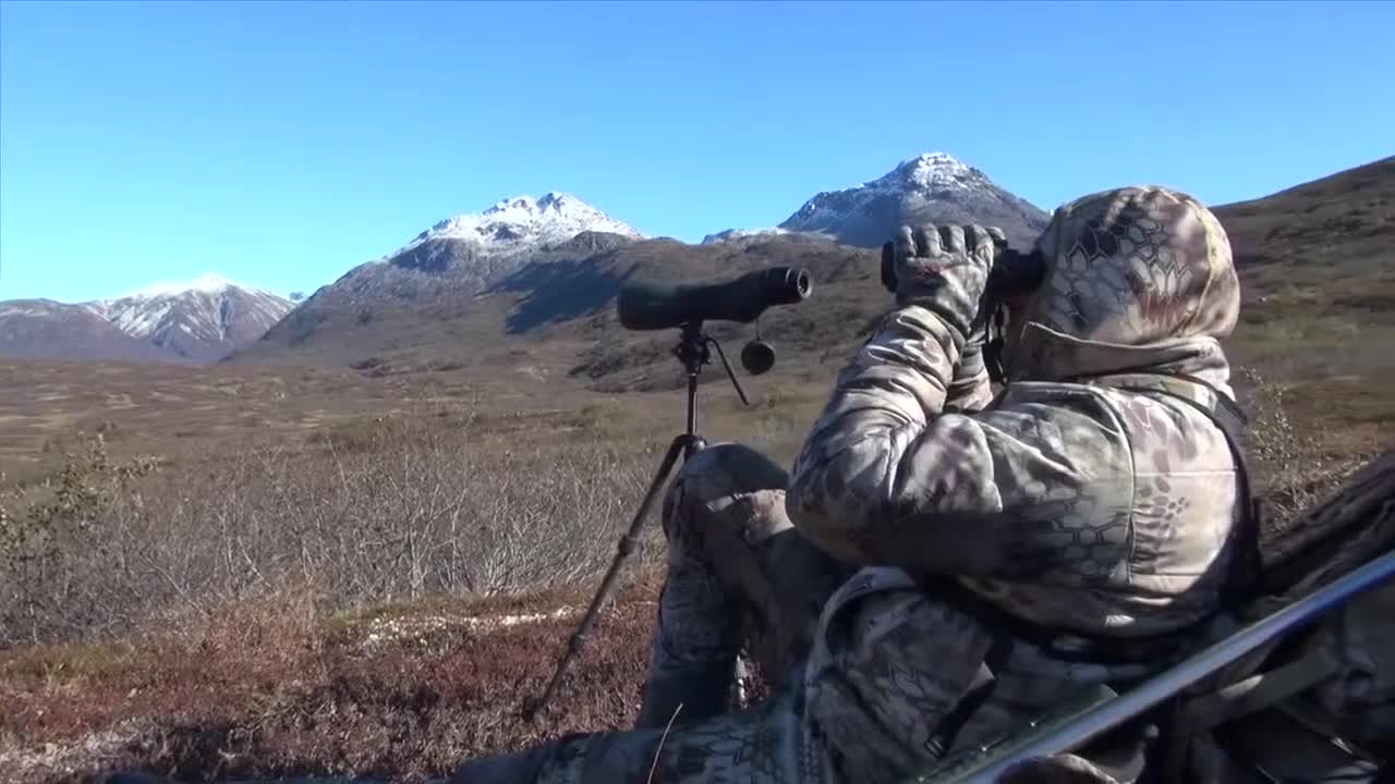Alaska Brown Hunt Bear Part 1