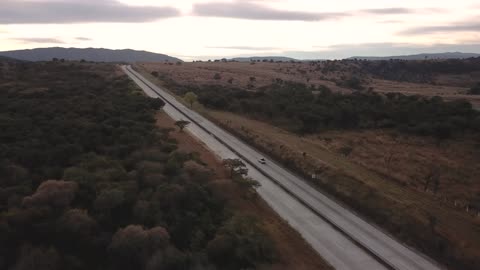 Highway between the trees