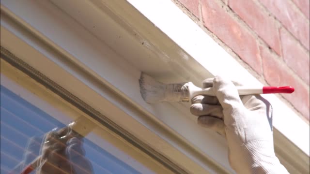 Elite Custom Painters - (828) 220-3988
