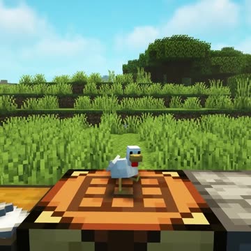 I found a Strange Cat