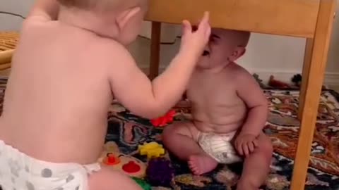 Babes funny video