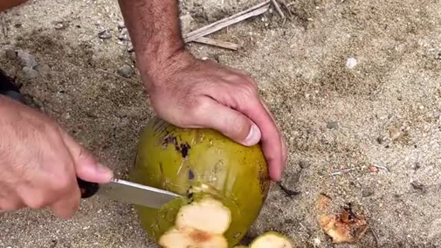 Opening up a coconut 🥥 ##coconuts