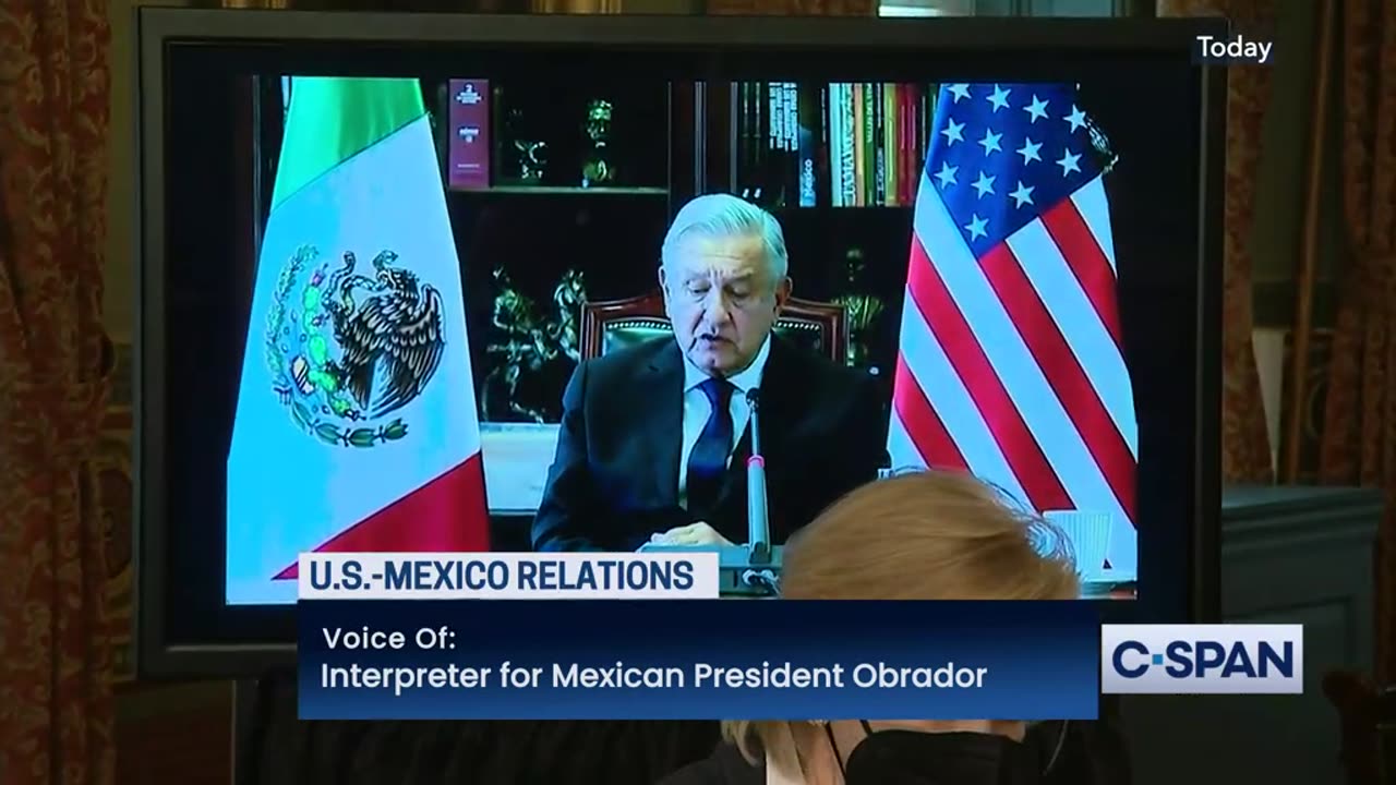 Vice President Holds Virtual Meeting with Mexican President About Migrants at Border