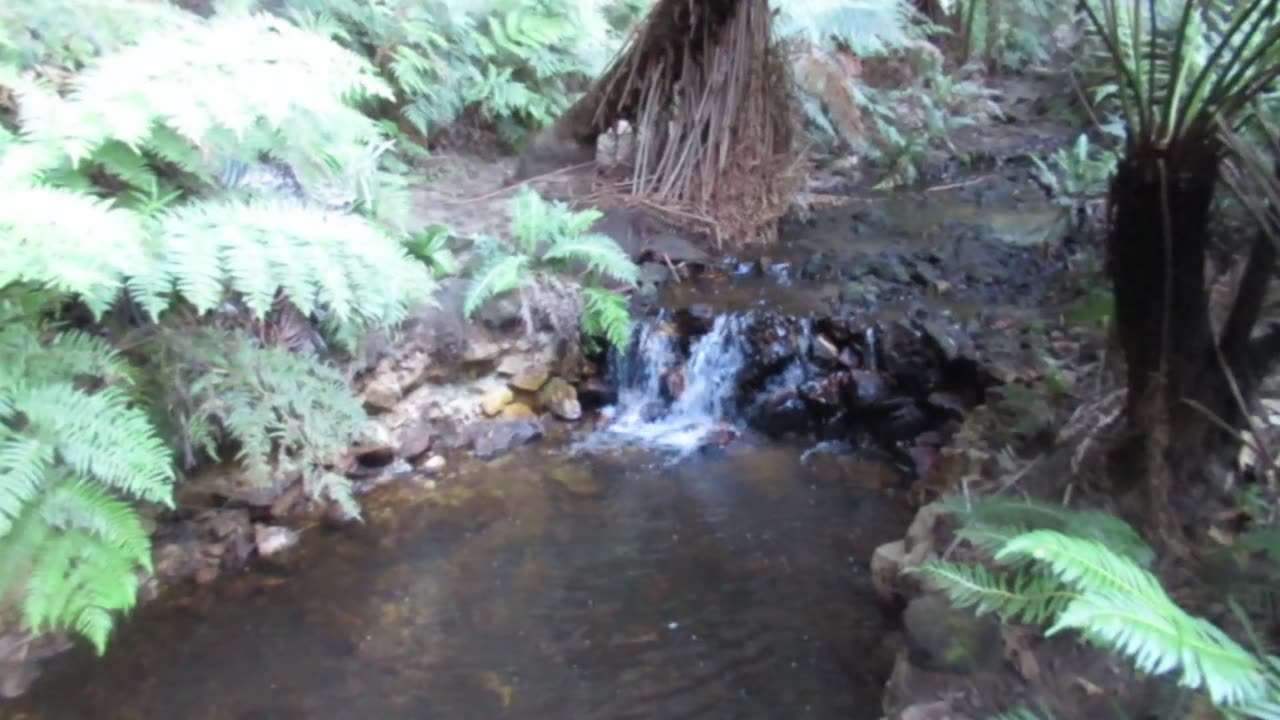 Hiking glow worm tunnel 3