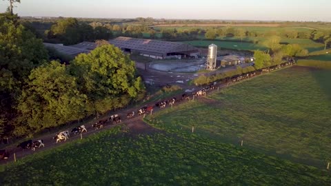 Experiencing your first TB breakdown, how bTB is affecting British farmers