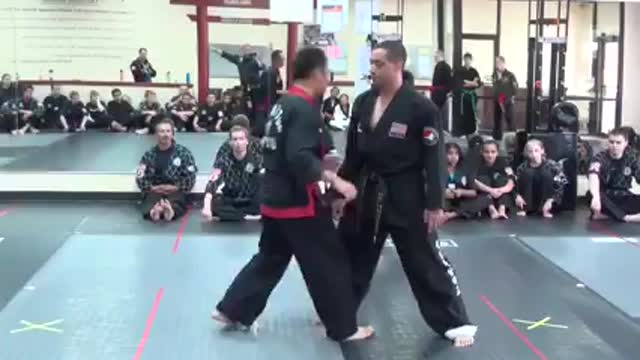 Hanminjok Hapkido