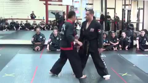 Hanminjok Hapkido