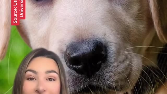 Do you have a cat or dog?
