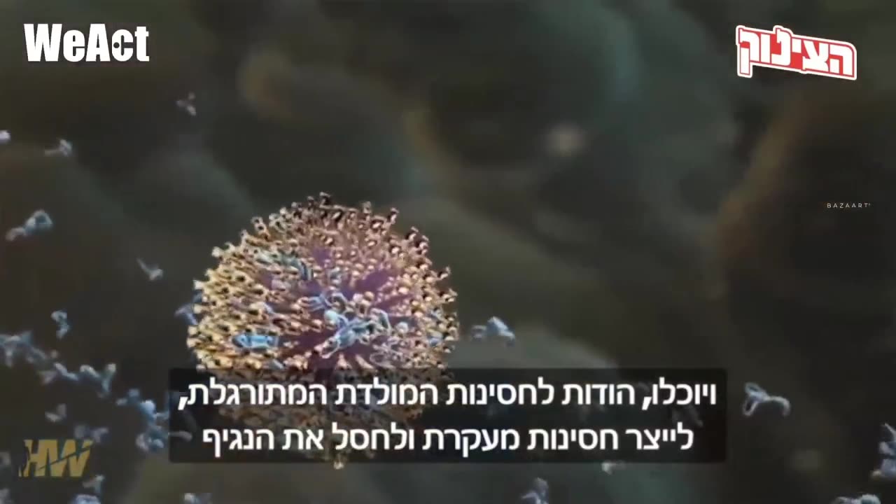 הצינוק עם א.בלב המחוסנים נהיים פגיעים עם הזמן שהוריאנט מתחלף וחסינותם דועכת לעומת הלא מחוסנים שחסינותם הטבעית חזקה יותר