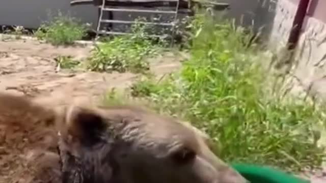 Take a bath when it's hot