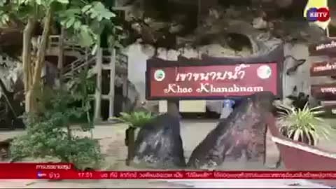 Lots of stuff found underneath the ground