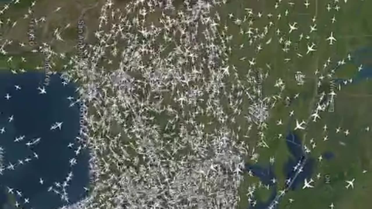 A birds flying with crowd