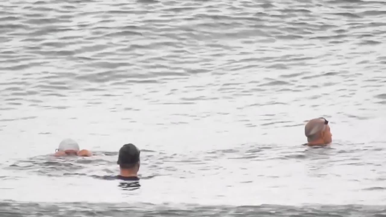 وسط البرد و الأجواء الماطرة .. فلسطينيون يُمارسون هِواية السِباحة في بحر مدينة غزة 🏊🏊‍♀️