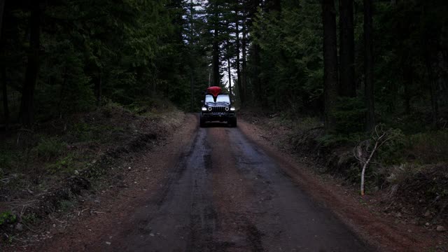 JEEP GLADIATOR CRUISING IN THE WOODS! 🌲🪵🌲 #shorts