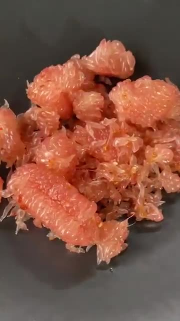 Balinese Style Pomelo Fruit Salad🙏🏽😊 #bali #cooking #rujak #rujakjerukbali #rujakbali #recipe