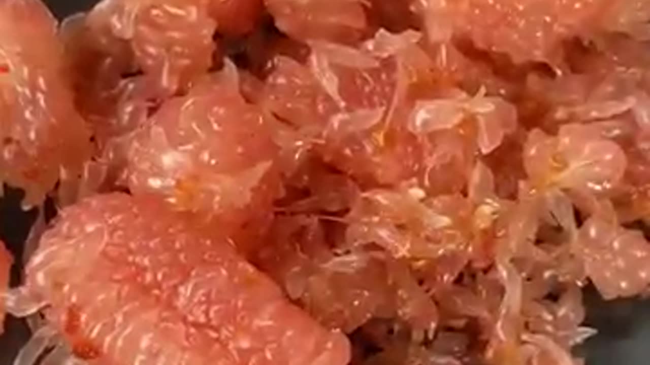 Balinese Style Pomelo Fruit Salad๐๐ฝ๐ #bali #cooking #rujak #rujakjerukbali #rujakbali #recipe