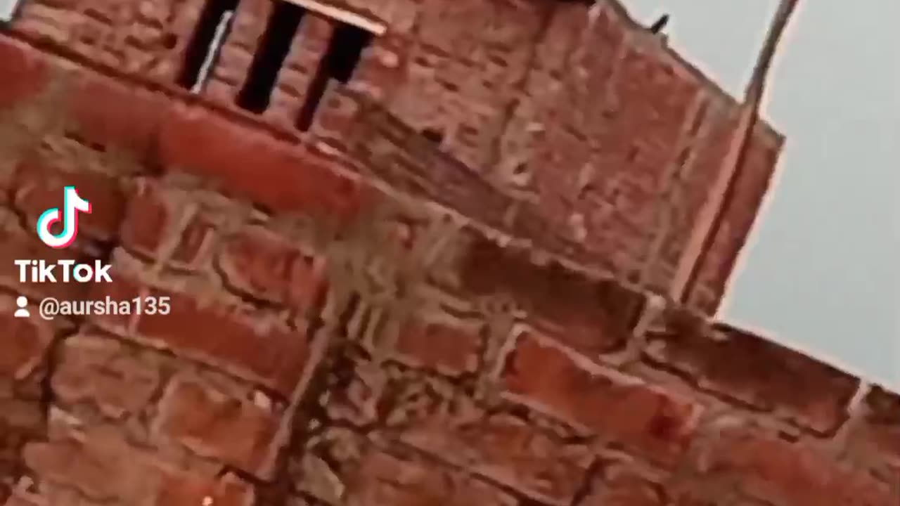 View on my roof