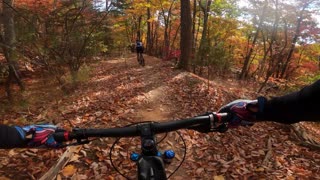 Beautiful Fall Colors Paris Mountain South Carolina MTB Ride