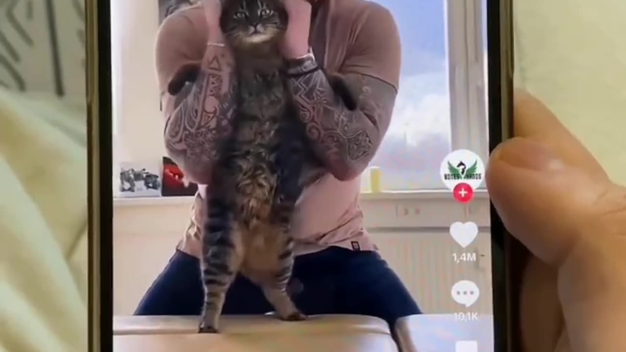 Don't try this with your cat please 🙂😹