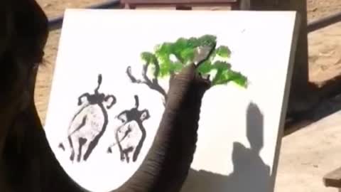 Oh, my God, the elephant can draw