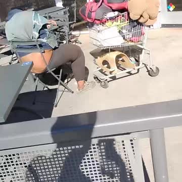 The city will help you when you are dead,