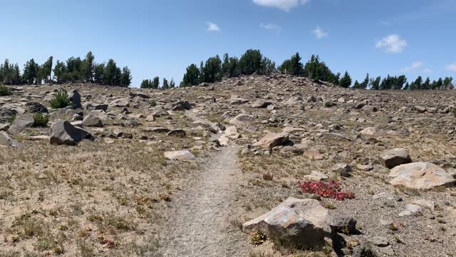 Central Oregon - Three Sisters Wilderness - Spectacular Alpine Meadow/Tundra Area - 4K