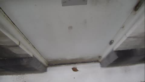 0921USCG00HT18Exterior_2021-01-06_09h20min01s637ms.mp4