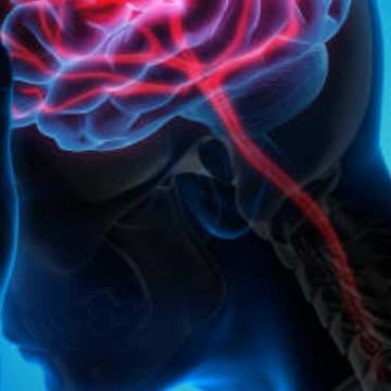 Apne Dil Ko Suwast Kaise Rakhe