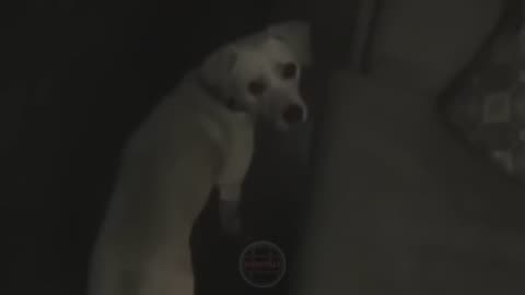 7 Real Scary Ghosts Video Caught On Camera