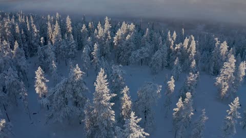 Winter in Rovaniemi hometown of Santa Claus & Pello Lapland Finland Arctic Circle Christmas Village