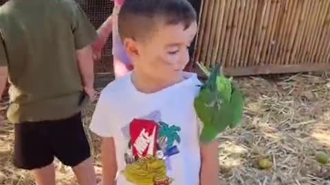 The child seemed to be afraid of the bird