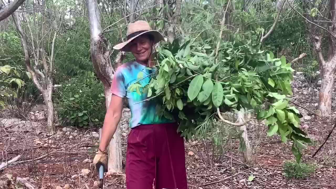 Girl pigs gone wild, spring break Yaxcabá Mexico