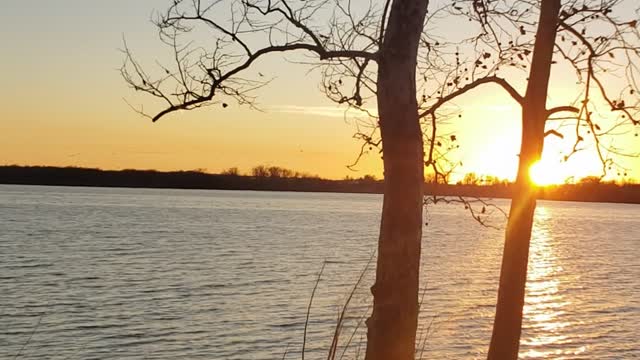 Relaxing at the lake