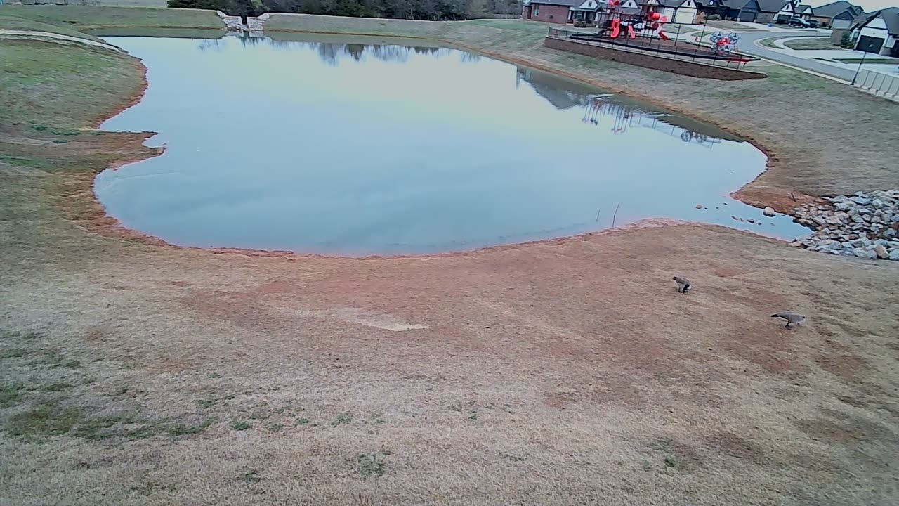 The Pond