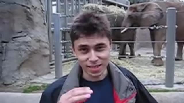 My at the zoo