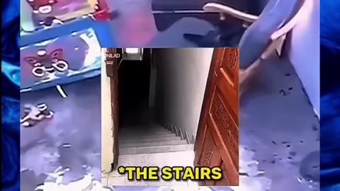 Cat saves the day.