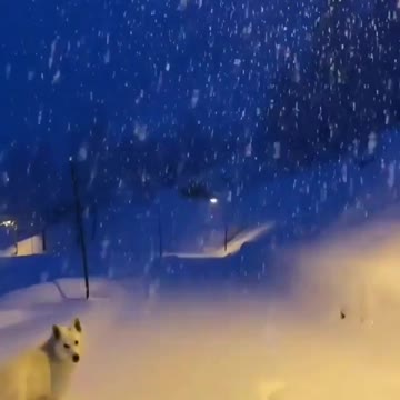 The calling of Narnia