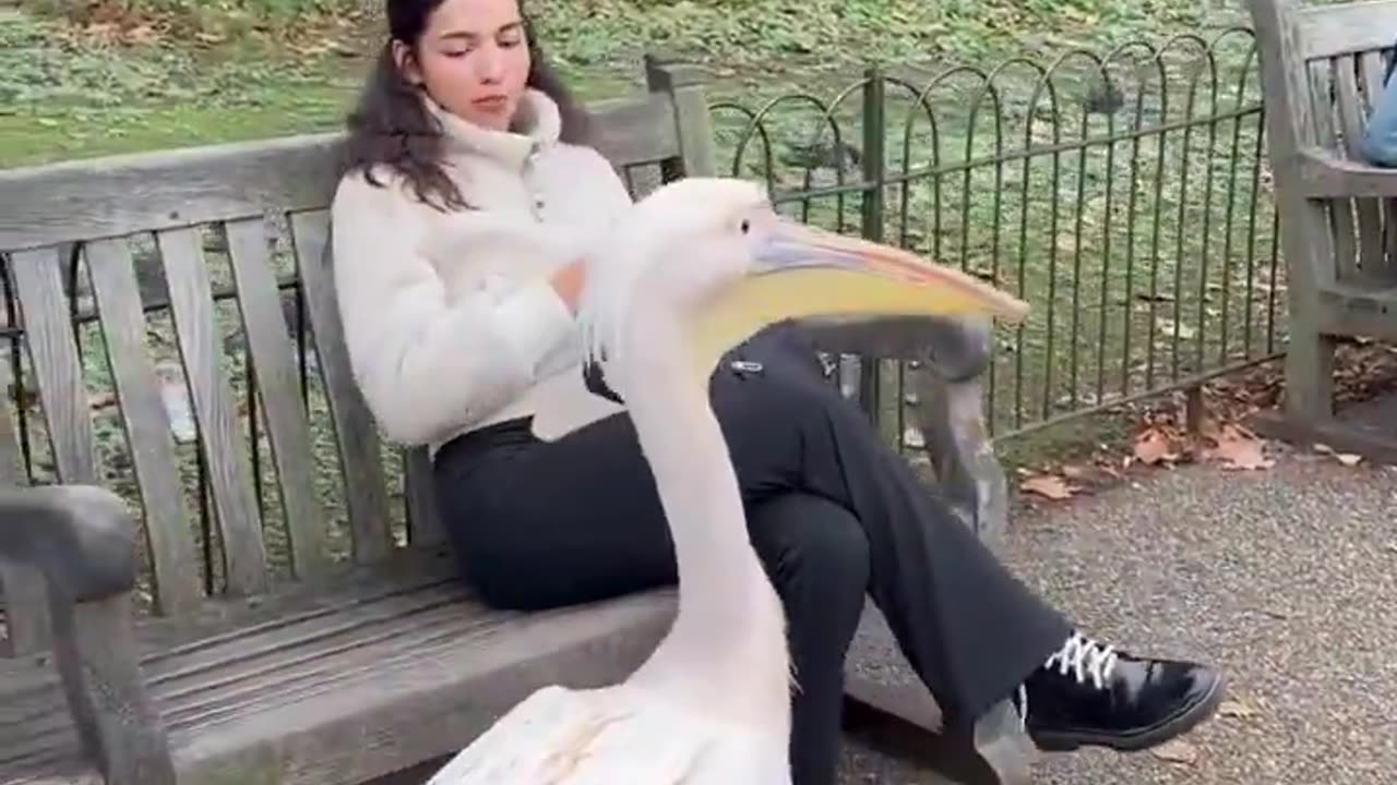 He wanted her seat not her snack. 😂