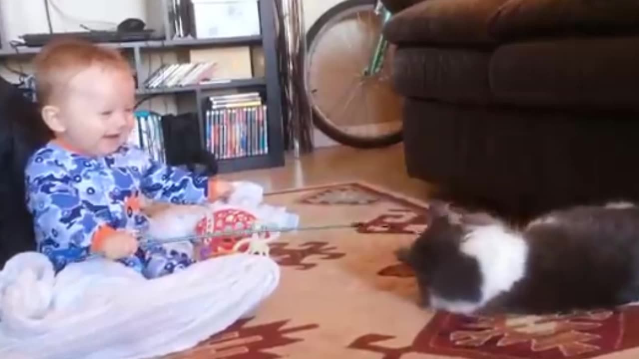 funny cat and babies playing together 😄😄