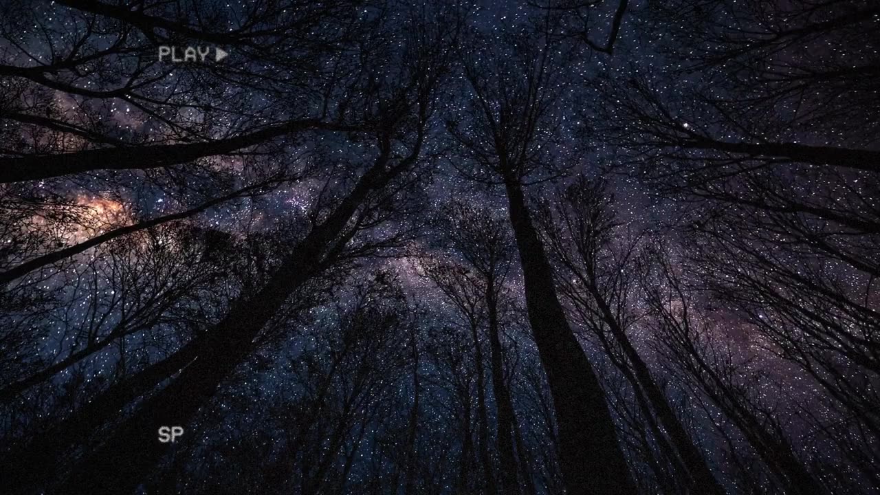 13 Scary Videos That Will Freak You OUT!