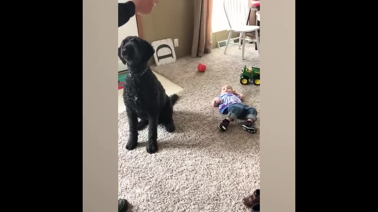 A funny moment for a cute baby