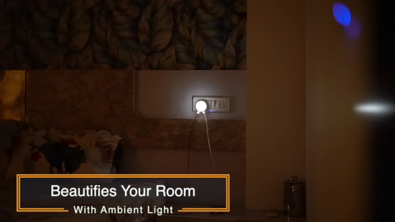 Dual USB Fast Charger With Night Lamp