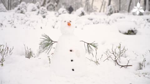 Meditação de Inverno