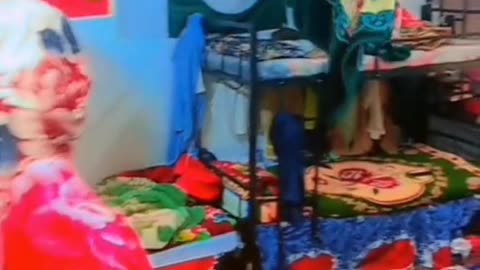 Pti fan dance