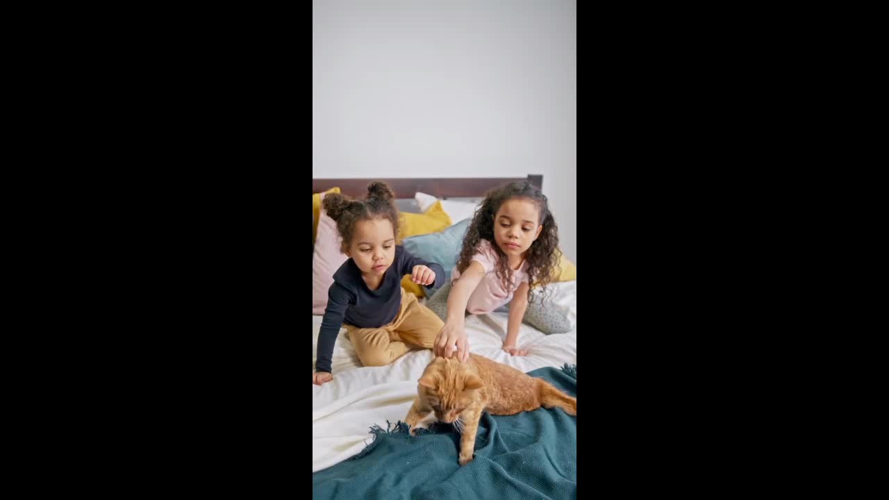 Lovely Childs Playing Cute Cat In Home..!!